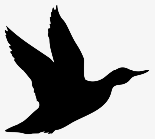 Duck Black Silhouette, HD Png Download, Transparent PNG