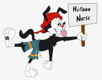 Yakko Animaniacs Hello Nurse, HD Png Download, Transparent PNG