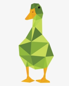 Duckduckgoose-03 - Duck, HD Png Download, Transparent PNG