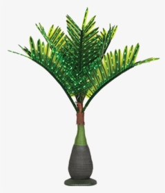 Lit Palm Trees - Bottle Palm Tree Png, Transparent Png, Transparent PNG