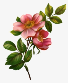 Fotki Flowers, Simple Flower Drawing - Flower Vintage Illustration Png, Transparent Png, Transparent PNG