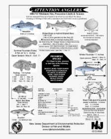 2018 Nj Fishing Regulations, HD Png Download, Transparent PNG