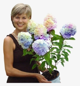 Pam Fast Growing Trees, HD Png Download, Transparent PNG