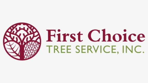 Mesquite Tree Png, Transparent Png, Transparent PNG
