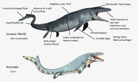 Spinosaurus The Fisher - Jurassic World Mosasaurus, HD Png Download, Transparent PNG