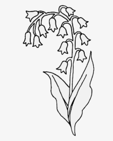 Lily Of The Valley Flower Clipart, HD Png Download, Transparent PNG