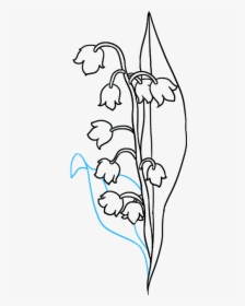 How To Draw Lily Of The Valley - Lily Of The Valley Transparent Drawing, HD Png Download, Transparent PNG