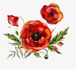 Red Watercolor Flower Transparent, HD Png Download, Transparent PNG