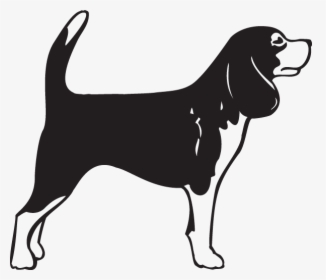 Beagle German Shorthaired Pointer Bullmastiff English - Beagle Clipart Black And White, HD Png Download, Transparent PNG