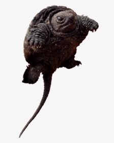 Toads Alligator Snapping Turtle, HD Png Download, Transparent PNG
