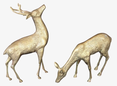 Clip Art Decorative Deer - White-tailed Deer, HD Png Download, Transparent PNG