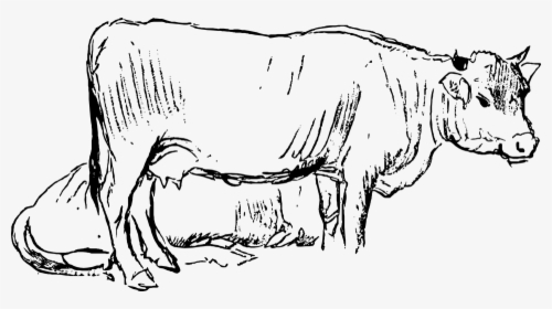Engraving, Chalk Out, Etching, Art, Woodcut, Print - Disegni Animali Per Azienda Agricola, HD Png Download, Transparent PNG