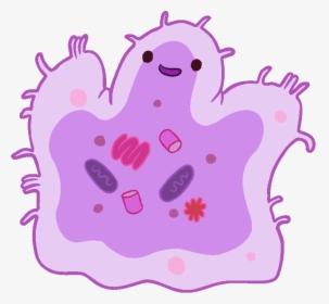 Cute Bacteria Png, Transparent Png, Transparent PNG