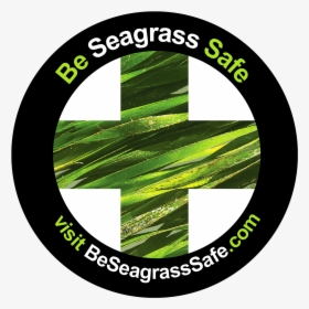 Be Seagrass Safe - Circle, HD Png Download, Transparent PNG