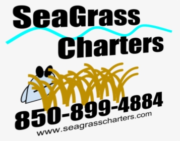 Seagrass Charters - Graphic Design, HD Png Download, Transparent PNG
