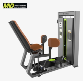 Strong Warrior China Best Quality Gym Equipment Dezhou - Gym, HD Png Download, Transparent PNG