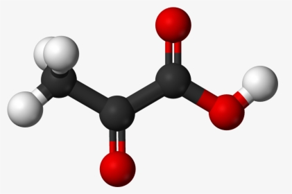 Archivo - Pyruvic Ac - Pyruvic Acids, HD Png Download, Transparent PNG