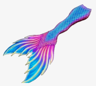 #mermaid #mermaids #tail #fin #tails #fins #fantasy - Illustration, HD Png Download, Transparent PNG