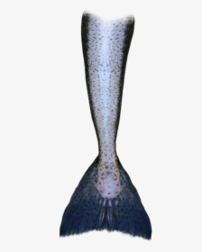 Mermaid Tail Clipart Tumblr Transparent - Transparent Mermaid Tail Drawing, HD Png Download, Transparent PNG