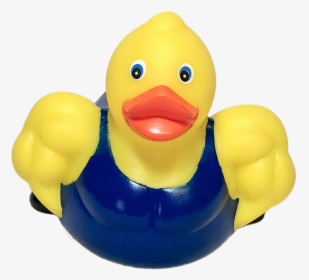 Transparent Background Of A Rubber Duck, HD Png Download, Transparent PNG