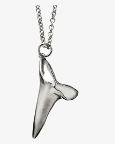 P Sharktooth Pendant Side New Y V2 Newest Ss - Necklace, HD Png Download, Transparent PNG