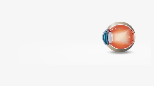 Illustration Of An Eye And A Donor Cornea - Circle, HD Png Download, Transparent PNG