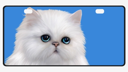 White Persian Cat License Plate - Kitten, HD Png Download, Transparent PNG