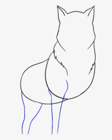 How To Draw Wolf - Draw Wolf Head, HD Png Download, Transparent PNG