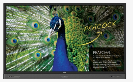 Benq Rp860s Education Interactive Flat Panel, HD Png Download, Transparent PNG