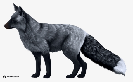 Red Foxes Png, Transparent Png, Transparent PNG
