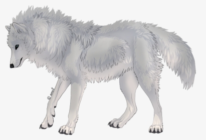 Canis Lupus Tundrarum, HD Png Download, Transparent PNG