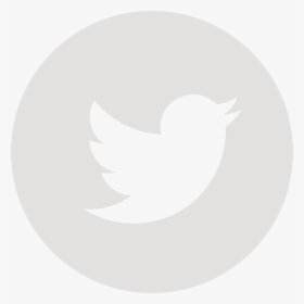 Facebook Twitter Linkedin - White Twitter Logo Gif, HD Png Download, Transparent PNG