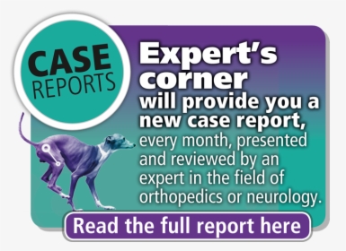 Case-reports - Greyhound, HD Png Download, Transparent PNG