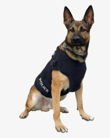 Police Dog Transparent Background, HD Png Download, Transparent PNG