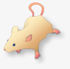 Vectorized Lab Mouse Mg 3263 For Scientific Figures - Scientific Mouse, HD Png Download, Transparent PNG