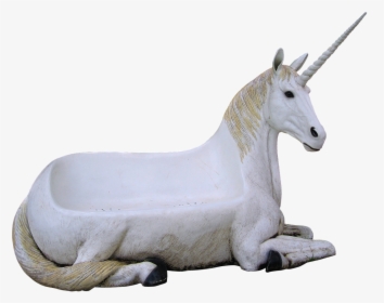 Image Cropped,unicorn,animal Magic,seat Of Unicorn,seat,free, HD Png Download, Transparent PNG
