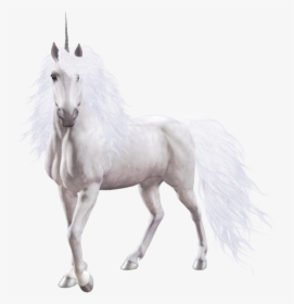 Unicorn Png Image - Transparent Background White Unicorn Png, Png Download, Transparent PNG