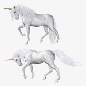 Unicorn - Unicorn Drawing Bad, HD Png Download, Transparent PNG