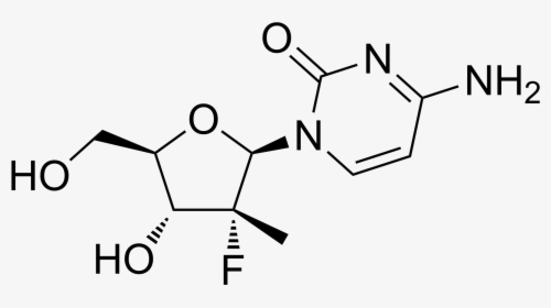 File - Psi-6130 - 5 7 Dihydroxytryptamine, HD Png Download, Transparent PNG