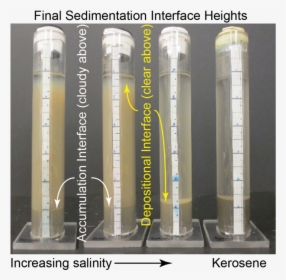 Photograph Of Sedimentation Test Definitions - Sedimentation Test, HD Png Download, Transparent PNG