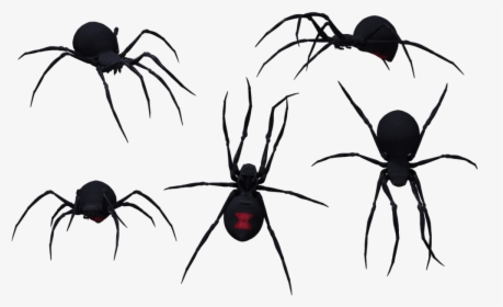 Transparent Black Widow Clipart - Black Widow Spider Silhouette, HD Png Download, Transparent PNG