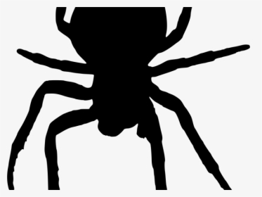 Horror Clipart Scary Spider - Spider Silhouette Png, Transparent Png, Transparent PNG