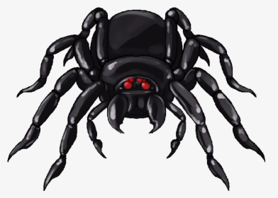 Giant Spider Clipart, HD Png Download, Transparent PNG