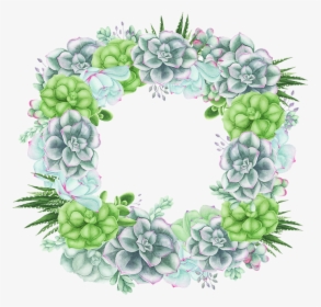 Succulent Rectangular, Cactus, Cacti, Floral, Plant - Hydrangea, HD Png Download, Transparent PNG