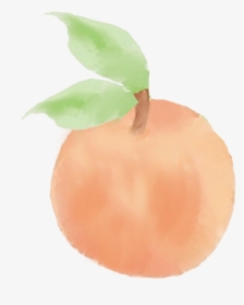 Transparent Peach Png Tumblr - Peach Drawing Png, Png Download, Transparent PNG