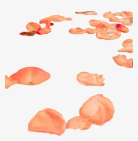 #peach #aesthetic #tumblr #leaves - Fish, HD Png Download, Transparent PNG