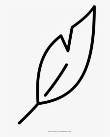 Feather Coloring Page, HD Png Download, Transparent PNG