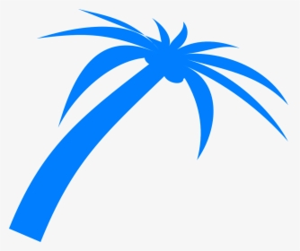 Palm, Tree, Fronds, Tropical, Nature, Beach, Plant - Palm Leaves Vectors Pngs, Transparent Png, Transparent PNG