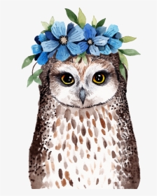 Owl Png Transparent Wearing Flowers - Watercolor Owl Transparent Background, Png Download, Transparent PNG