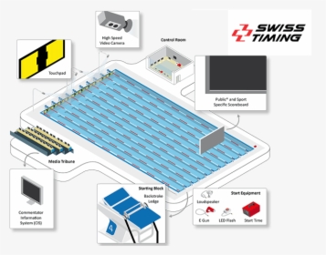 Swiss Timing Photo - Swimming Pool Timing Systems, HD Png Download, Transparent PNG